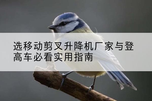 阿克塞电动升降机厂家-选移动剪叉升降机厂家与登高车必看实用指南