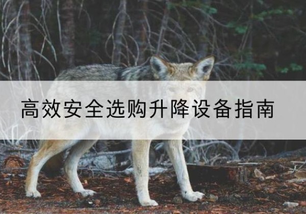 阿克塞升降货梯厂家推荐-*安全选购升降设备指南