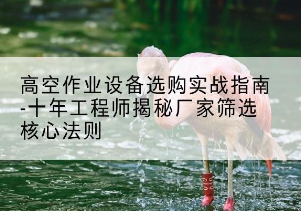 阿克塞剪叉式升降机厂家-高空作业设备选购实战指南-十年工程师揭秘厂家筛选核心法则